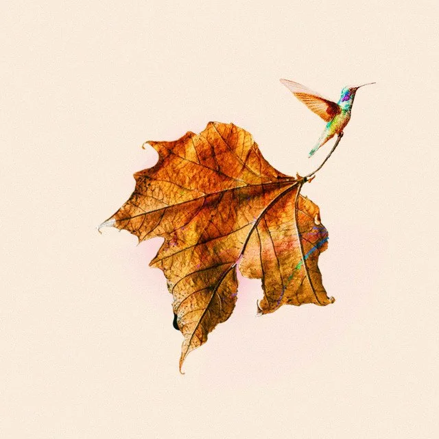 I let the poems have you by Francis Moon x Sine Wave Square